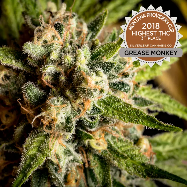 Grease Monkey
